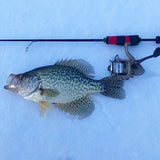 Custom Design UL Panfish Ice Rod